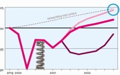 De veerkracht van onze economie